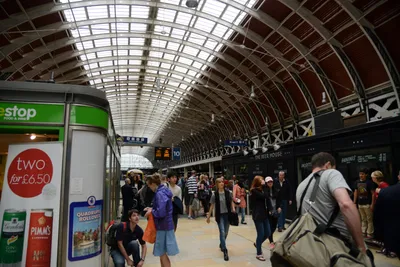 DSC_2511 (Large).JPG